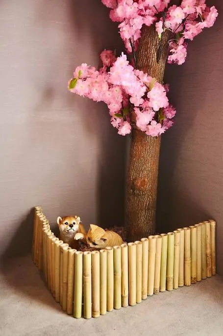 Kame House Hatagaya طوكيو 0*,  اليابان